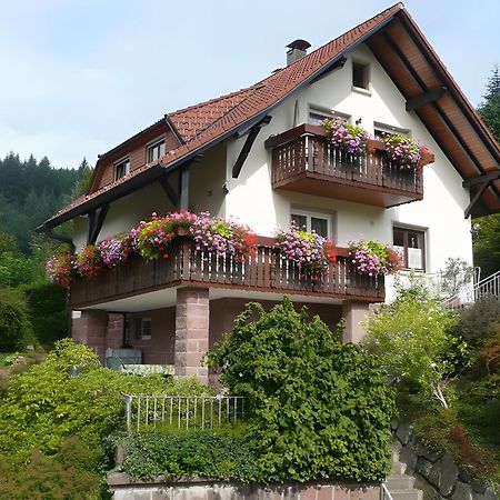 Haus Herbert Panter Bad Peterstal-Griesbach Εξωτερικό φωτογραφία