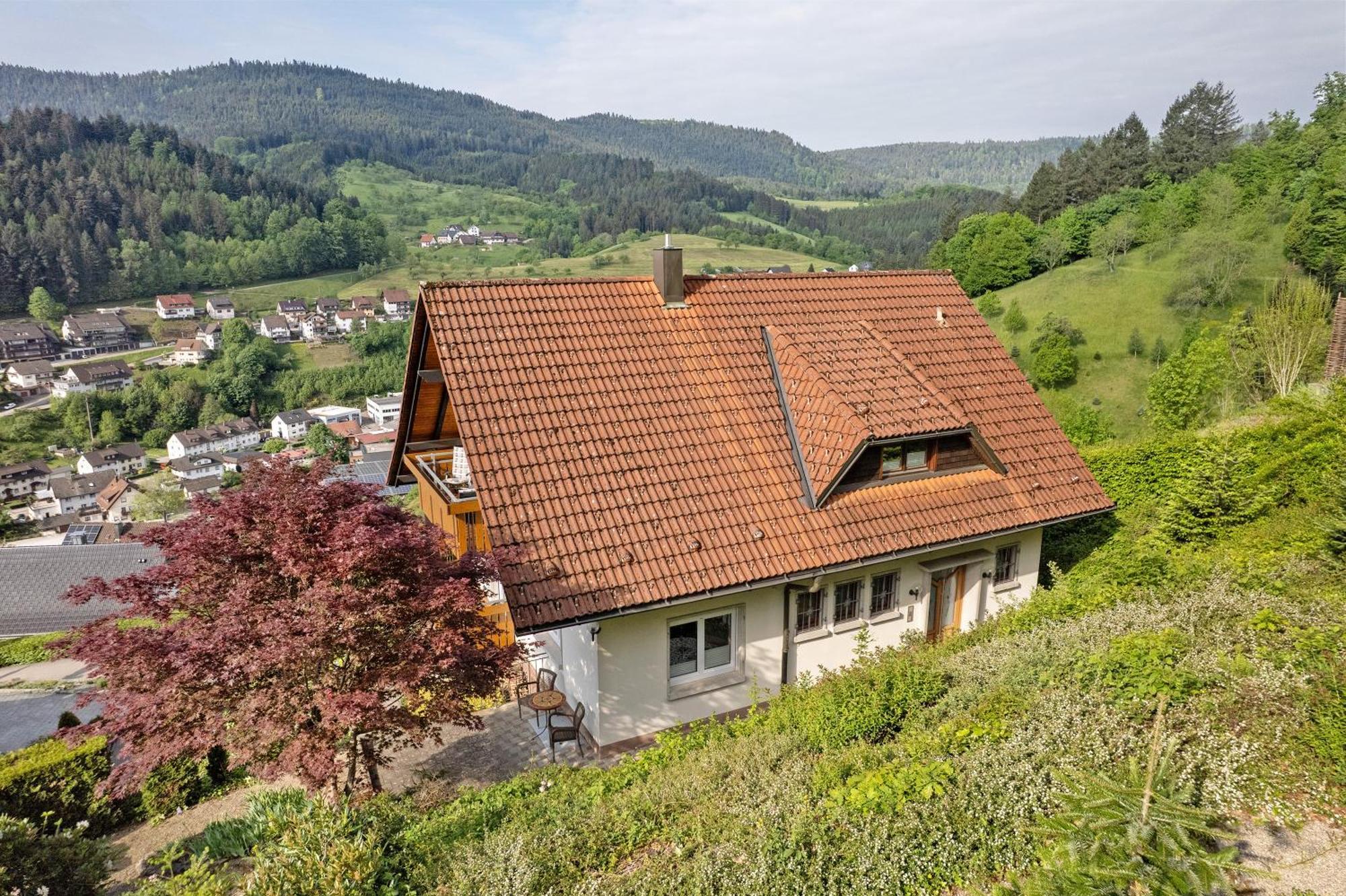 Haus Herbert Panter Bad Peterstal-Griesbach Εξωτερικό φωτογραφία